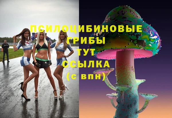 соль курить ск Заводоуковск