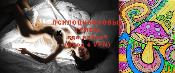 соль курить ск Заводоуковск