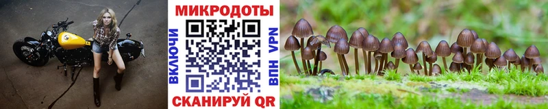 продажа наркотиков  MEGA как зайти  Галлюциногенные грибы ЛСД  Мегион 